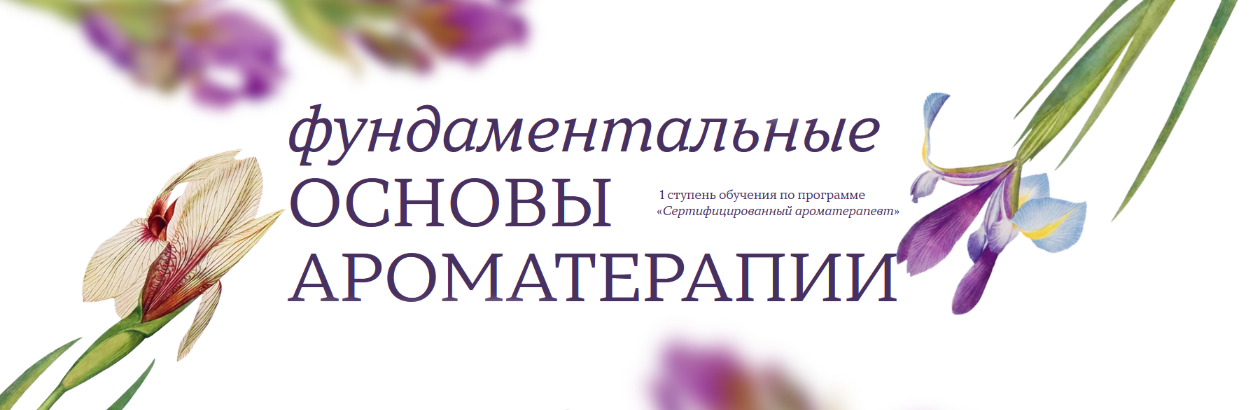 [Джейд Шутс] [Aromatic Studies] Фундаментальные ос_0.png